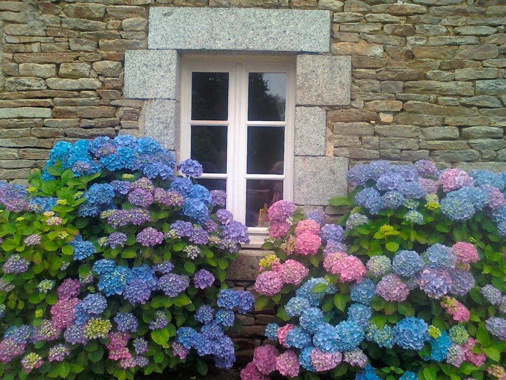 Le Petit Kerangoi Bed & Breakfast Pont-Aven Exterior foto